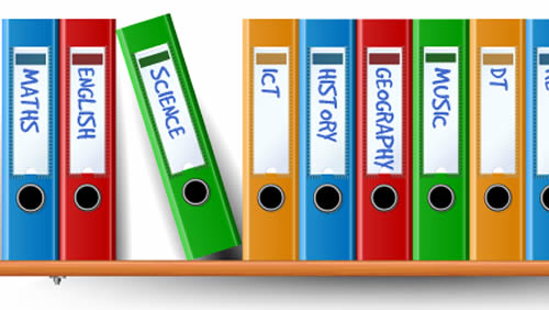 The School Curriculum